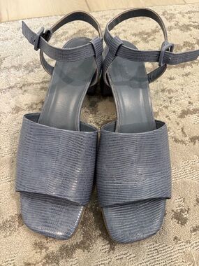 Everlane Slate Blue Lizard-Embossed Block Heel Sandals with Ankle Strap